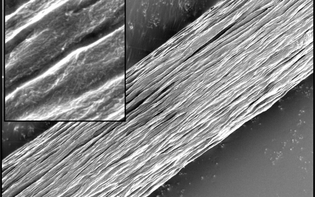 Scientists in Sweden has made a material that challenges spider silk as the strongest bio-based material