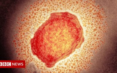 Monkeypox: UK cases rise to 71, with vaccines for high-risk contacts