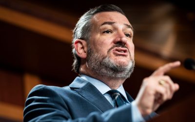 Ted Cruz Flayed Over Ludicrous Idea For Preventing School Shootings