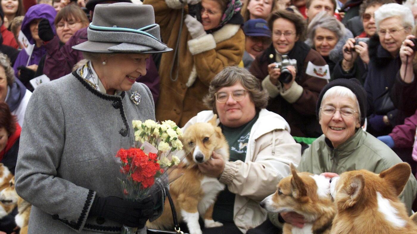What Will Happen to the Corgis? Understanding the Future of the Queen’s Beloved Dogs
