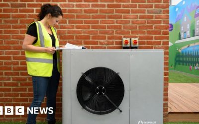 Heat pumps: Lords slam ‘failing’ green heating scheme