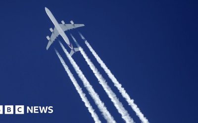 Green flights not in easy reach, warn scientists