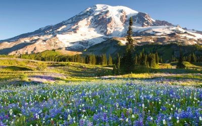 The 10 Best National Parks To Visit In The Summer