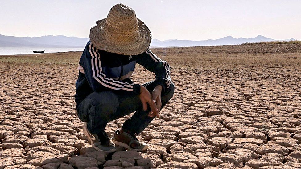 Parched and shrinking – vital Moroccan dam dries up